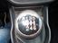 Immagine 11
