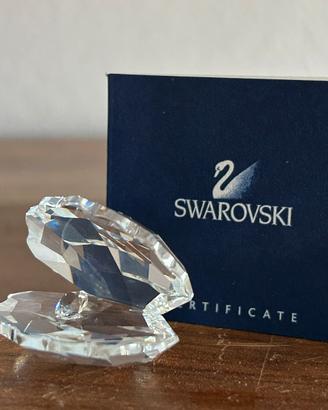 Ostrica e perla Swarovski