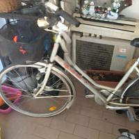 Bicicletta da donna