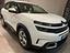 Immagine 15