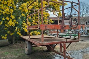 carro raccolta frutta