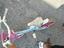 Immagine 3