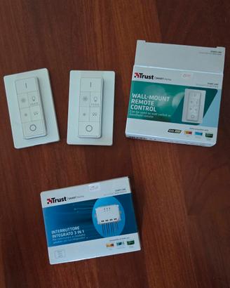 Remote control due telecomandi  + interruttore 