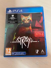 Stray