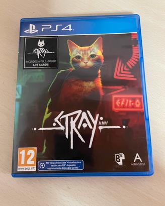 Stray