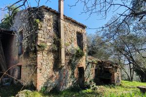 CASA DI CORTE A VEROLI