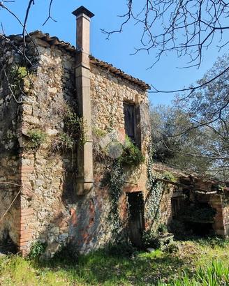 CASA DI CORTE A VEROLI