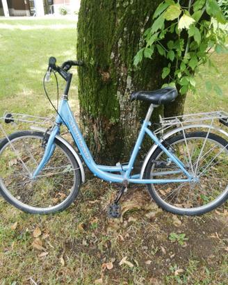 Bicicletta Molinari