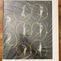 PETER LINDBERGH STORIES