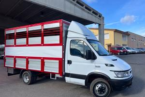 Iveco Daily 35c13 trasporto animali vivi patente B