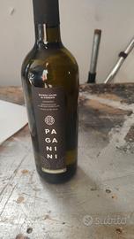 Vini bollicine Champagne