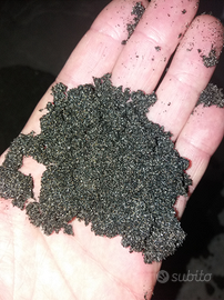 Sabbia nera per acquario