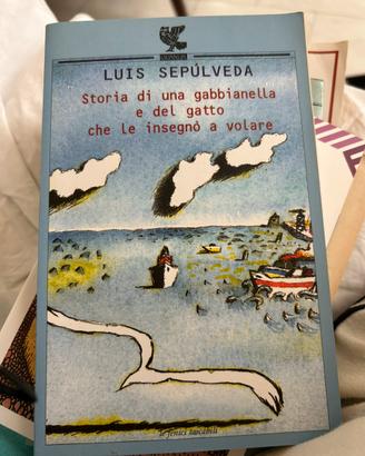 Storia di una gabbianella e del gatto