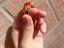 Immagine 5