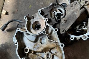 3 carter vespa small