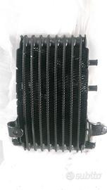Radiatore olio MV AUGUSTA BRUTALE 990 1090
