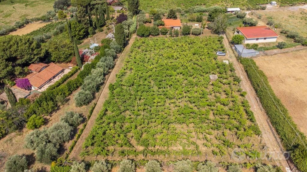 Terreno di 4230 m² a Grottaferrata - Vista 3