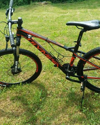 Mountain bike Olympia V800