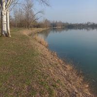 Signora italiana badante ecc