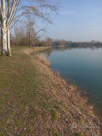 Signora italiana badante ecc