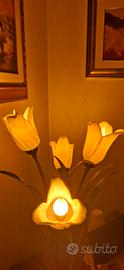 lume lampada