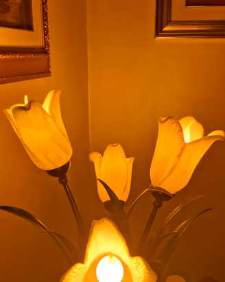 lume lampada