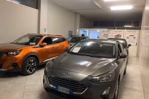 Ford Focus 1.5 EcoBlue 120 CV 5p. 2022