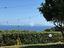 Immagine 10