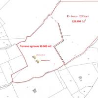 Bosco e terreno , per aziende o asservimento
