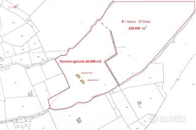 Bosco e terreno , per aziende o asservimento