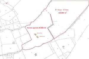 Bosco e terreno , per aziende o asservimento