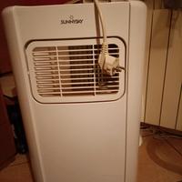 condizionatore deumidificatore