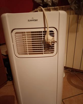 condizionatore deumidificatore