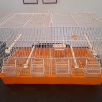 Gabbia da Cova da 55 cm