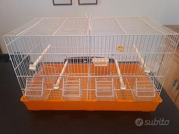 Gabbia da Cova da 55 cm