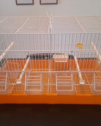 Gabbia da Cova da 55 cm