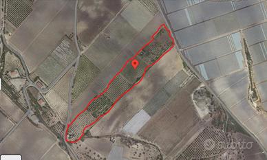 Terreno Agricolo Rustico per coltizazione