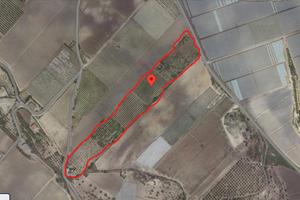 Terreno Agricolo Rustico per coltizazione