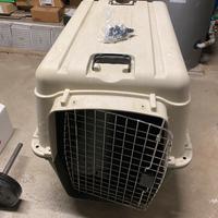 Kennel per cani taglia media