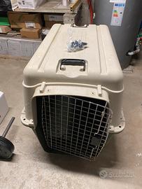 Kennel per cani taglia media