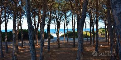 Villetta completa di tutto a 200m spiaggia