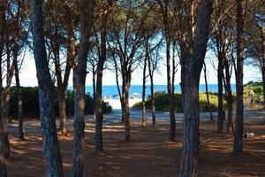 Villetta completa di tutto a 200m spiaggia