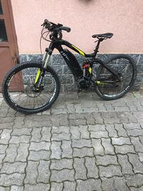 Haibike  
