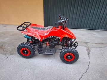 mini quad
