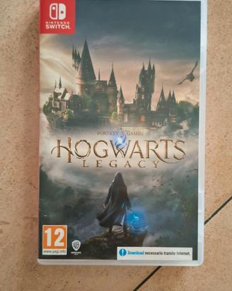 Hogwarts Legacy - Nintendo Switch 1