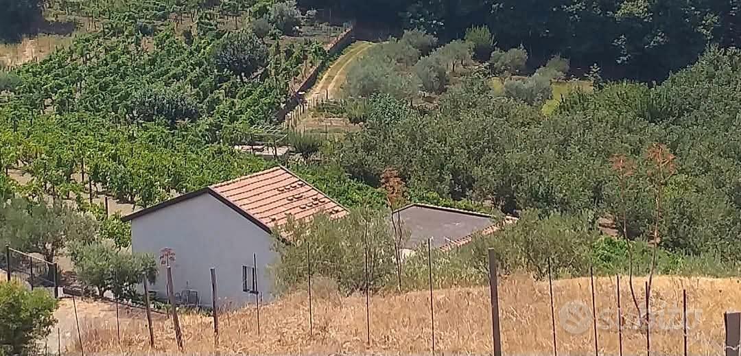 Terreno con fabbricato a Linguaglossa - Vista 5