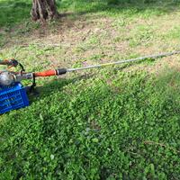 Scuotitore per olive con gancio Active VM60-V