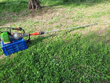 Scuotitore per olive con gancio Active VM60-V