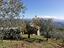 Immagine 14