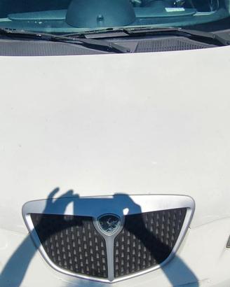 LANCIA YPSILON 2010 COFANO ANTERIORE